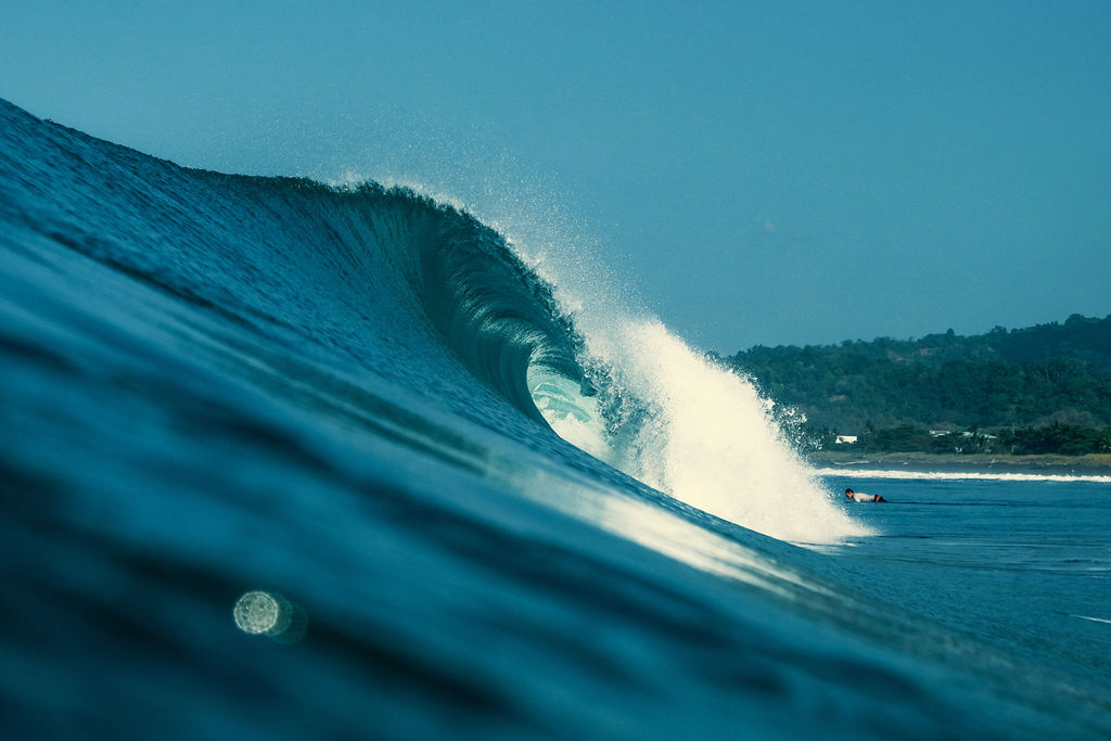Pacific Selection Jaco - Contact