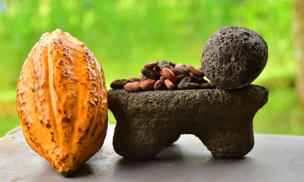Chocolate Experience